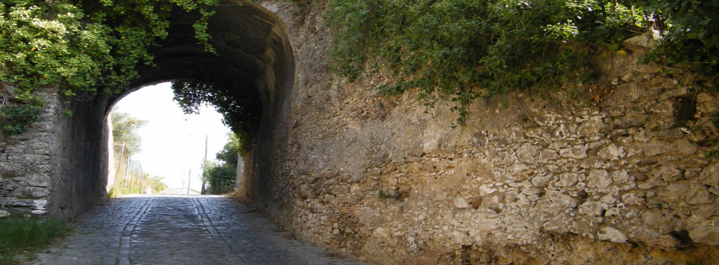 Banner Banner 5 - MEDIDA: 1920 X 710 pixéis